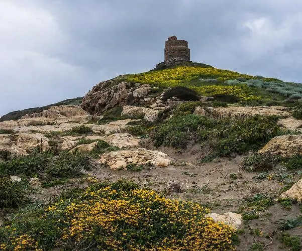 Civico 47 招待所 3*